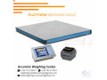 industrial-commercial-platform-weighing-scale-with-a-raised-indicator-small-0