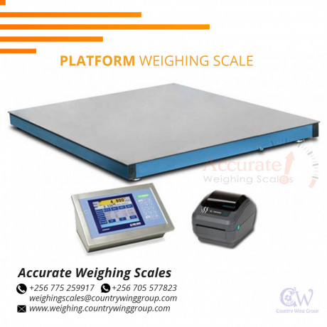 industrial-commercial-platform-weighing-scale-with-a-raised-indicator-big-0