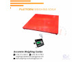 improved-waterproof-platform-weighing-scales-for-industrial-use-small-0