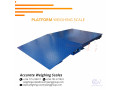 platform-weighing-scales-for-dry-and-dusty-environment-at-supplier-small-0