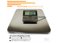 durable-chargeable-batteries-for-electronic-platform-weighing-scales-kitgum-uganda-small-0