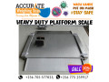 industrial-floor-heavy-duty-platform-scales-for-farm-produce-small-0