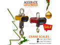 run-up-to-christmas-for-discounted-crane-scale-small-1