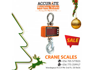 Run-up to Christmas for discounted crane scale