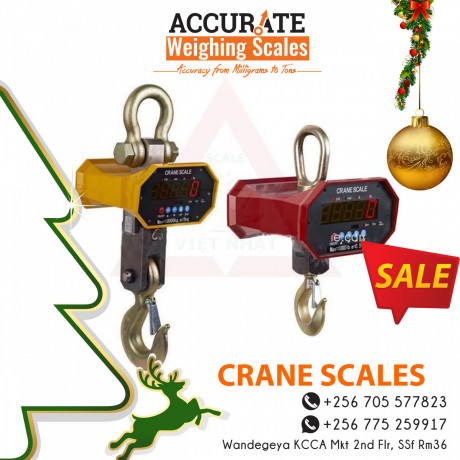 run-up-to-christmas-for-discounted-crane-scale-big-1