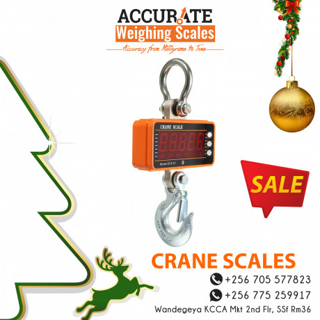 run-up-to-christmas-for-discounted-crane-scale-big-0