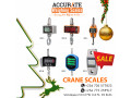 discounted-battery-powered-heavy-duty-crane-scale-small-1