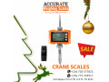 discounted-battery-powered-heavy-duty-crane-scale-small-0