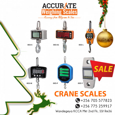 discounted-battery-powered-heavy-duty-crane-scale-big-1