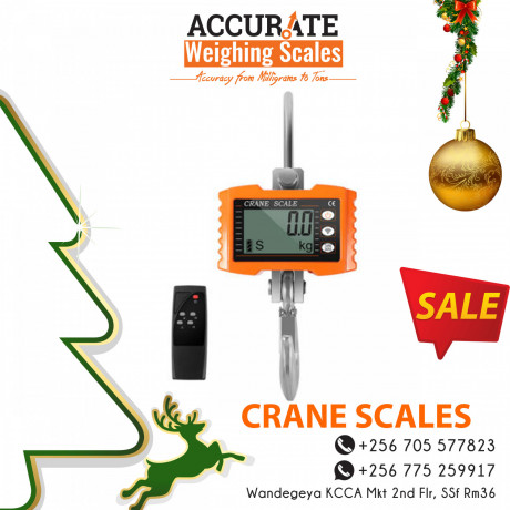 discounted-battery-powered-heavy-duty-crane-scale-big-0