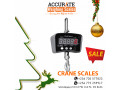 crane-weighing-scales-with-a-safety-catch-on-underside-for-sale-small-0