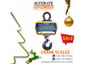 crane-weighing-scales-with-a-safety-catch-on-underside-for-sale-small-1