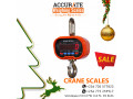 crane-weighing-scales-of-special-set-up-small-0