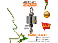 crane-weighing-scales-of-special-set-up-small-1