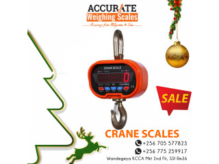  crane weighing scales of special set up