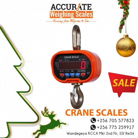 crane-weighing-scales-of-special-set-up-big-0