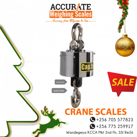 crane-weighing-scales-of-special-set-up-big-1