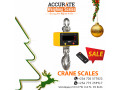 crane-weighing-scales-with-a-large-shackle-small-0