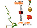 crane-weighing-scales-with-a-large-shackle-small-1