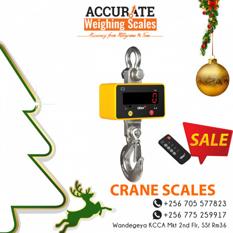 crane-weighing-scales-with-a-large-shackle-big-0