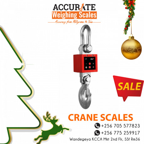 crane-weighing-scales-with-a-large-shackle-big-1