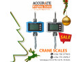 heavy-duty-crane-weighing-scales-with-wired-displays-at-affordable-prices-small-0