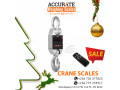 heavy-duty-crane-weighing-scales-with-wired-displays-at-affordable-prices-small-1