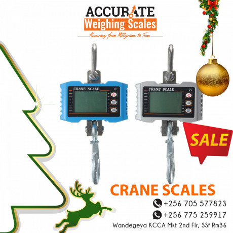 heavy-duty-crane-weighing-scales-with-wired-displays-at-affordable-prices-big-0