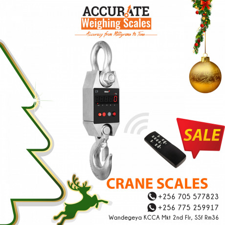 heavy-duty-crane-weighing-scales-with-wired-displays-at-affordable-prices-big-1