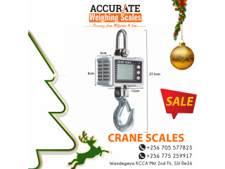  Remote control crane scales for fish check weighing sector