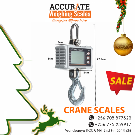 remote-control-crane-scales-for-fish-check-weighing-sector-big-0