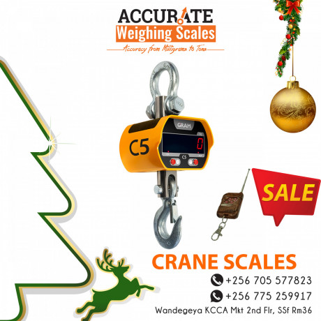 different-models-of-uniform-capacity-heavy-duty-crane-scales-big-0