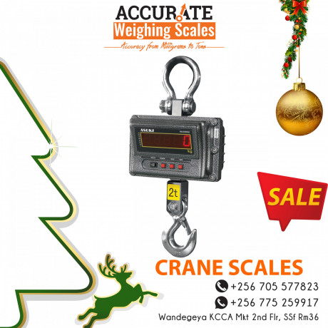 remote-display-and-data-transmission-heavy-duty-crane-scales-big-0