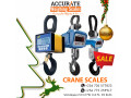 heavy-duty-crane-scale-of-shock-and-heat-resistant-for-sale-small-0