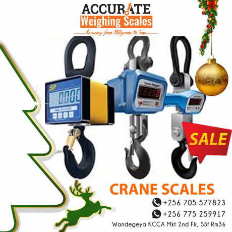 heavy-duty-crane-scale-of-shock-and-heat-resistant-for-sale-big-0