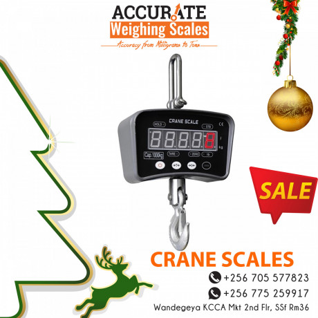 approved-brand-new-christmas-discounted-crane-scale-big-0