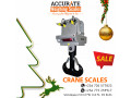 digital-lcd-display-crane-scales-of-868mhz-multiple-point-wires-module-small-0