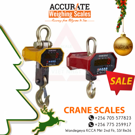 verified-digital-heavy-duty-crane-weighing-scales-at-low-cost-rate-big-0