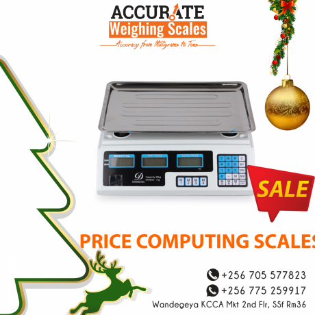 budget-friendly-approved-pricecomputing-scale-big-0