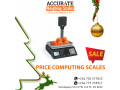 smart-most-cost-efficient-kitchen-scale-small-1