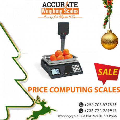 smart-most-cost-efficient-kitchen-scale-big-1