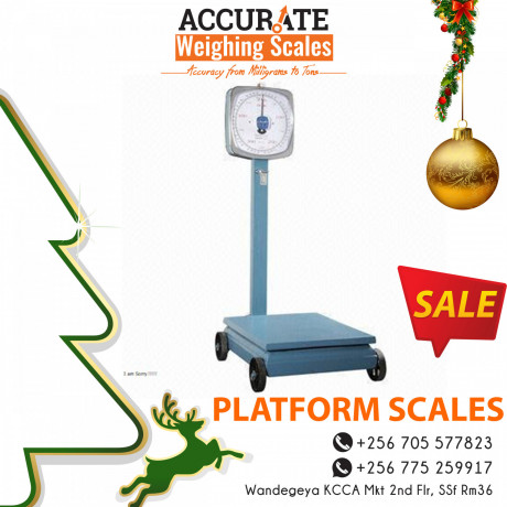 professional-distributors-of-designed-platform-weighing-scale-big-0