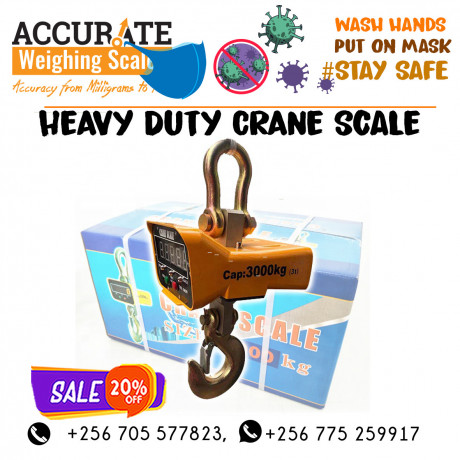 retail-commercial-crane-hanging-weighing-scales-kyotera-uganda-big-0