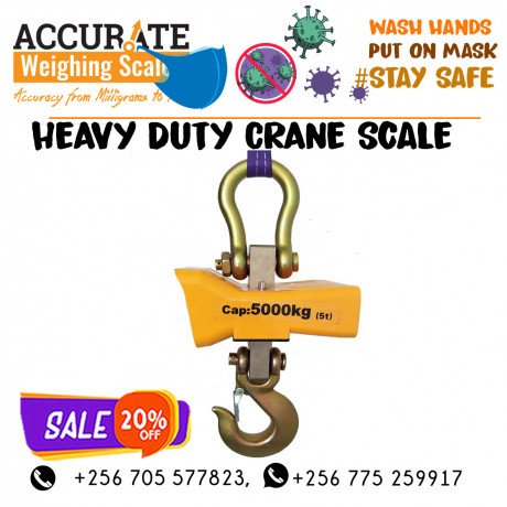 movable-heavy-duty-crane-weighing-scales-butaleja-uganda-big-0