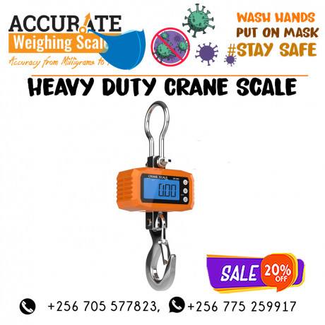 remote-control-crane-scales-for-fish-check-weighing-sector-big-0