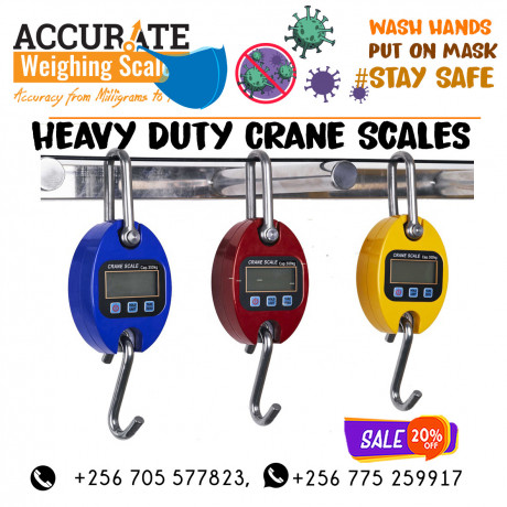 stainless-steel-hook-hanging-crane-weighing-scales-kaliro-uganda-big-0