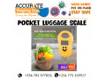 digital-travel-luggage-hanging-weight-scale-lira-uganda-small-0