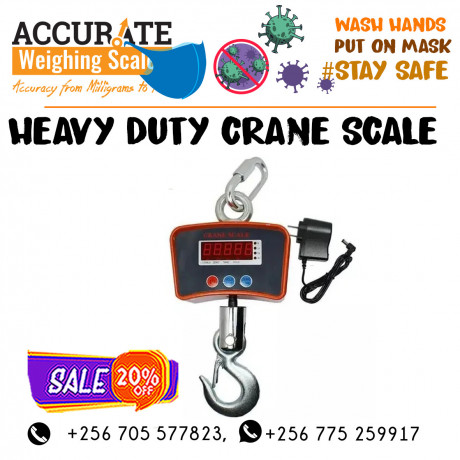 stainless-steel-hook-hanging-crane-weighing-scales-kaliro-uganda-big-0