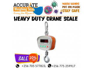  Remote control crane scales for fish check weighing sector