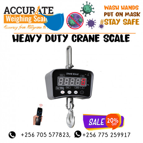 hanging-40kg-capacity-crane-weighing-scales-luzira-big-0